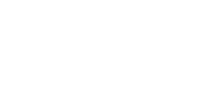 Verband deutscher Wirtschaftsingenieure Logo